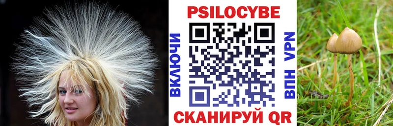 Галлюциногенные грибы GOLDEN TEACHER  купить закладку  Берёзовский 
